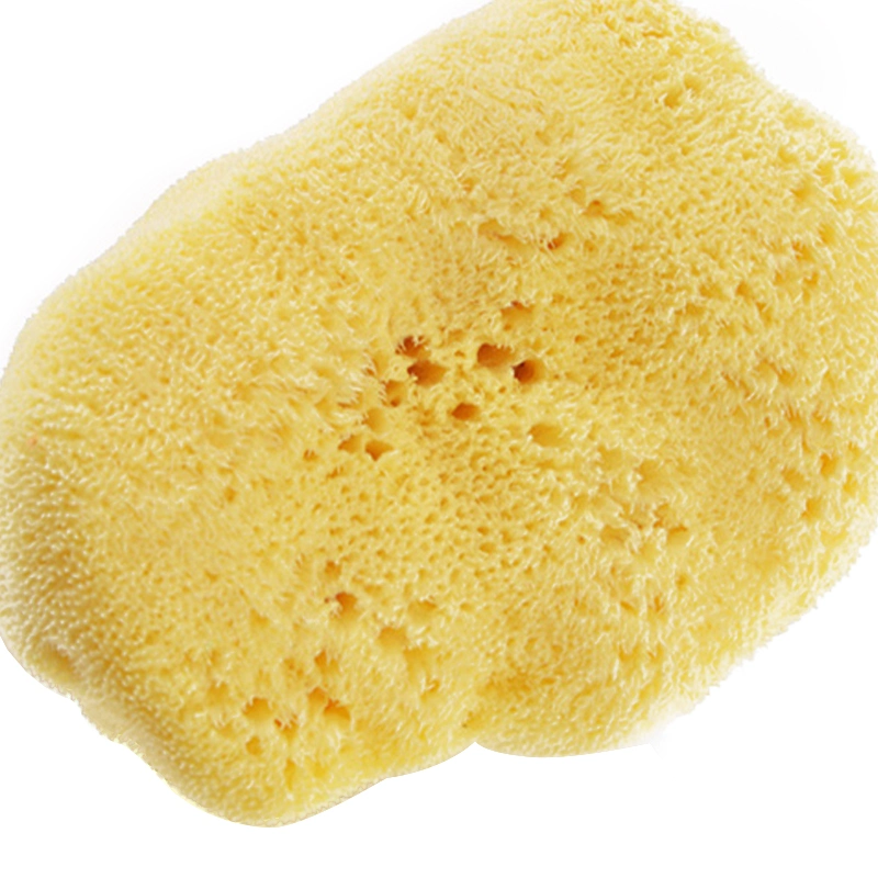 Best Selling Daily Necessities Natural Greece Bath Sea Spongeural Wool Sea Sponge