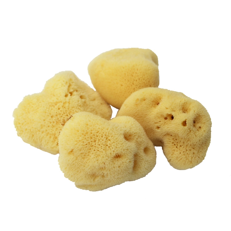 Best Selling Daily Necessities Natural Greece Bath Sea Spongeural Wool Sea Sponge